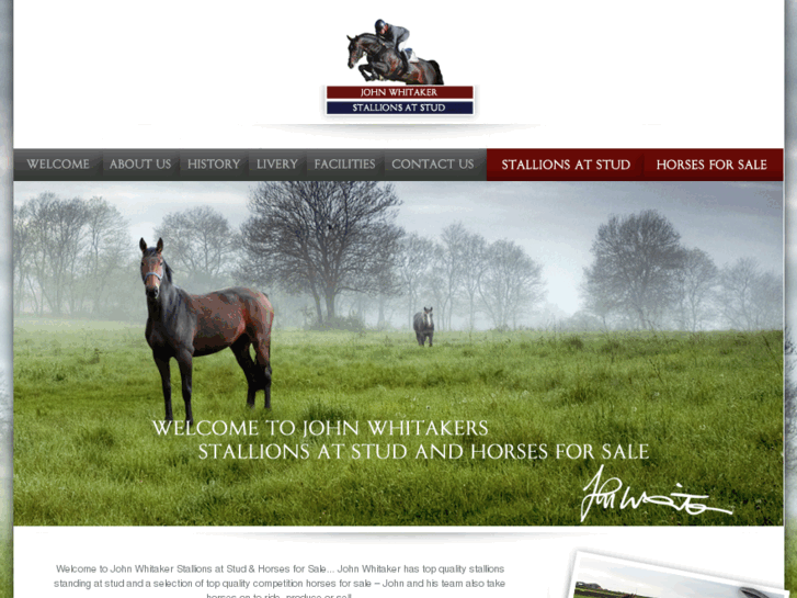 www.stallions-at-stud.co.uk