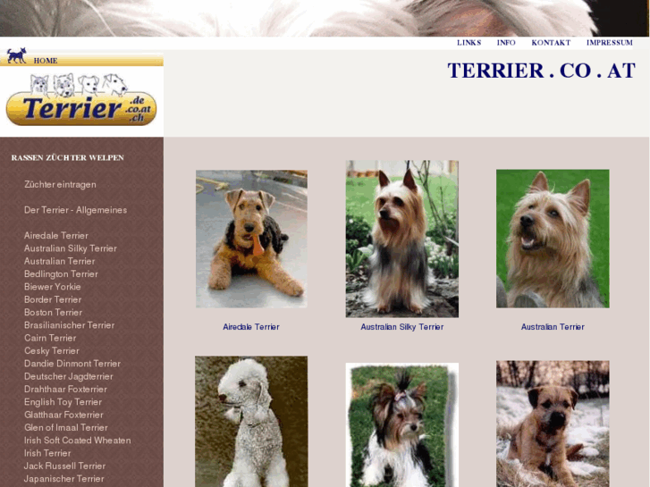www.terrier.co.at
