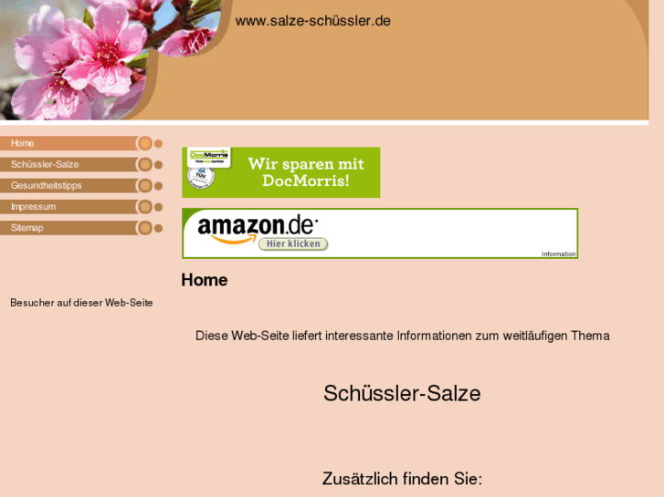 www.xn--salze-schssler-osb.com