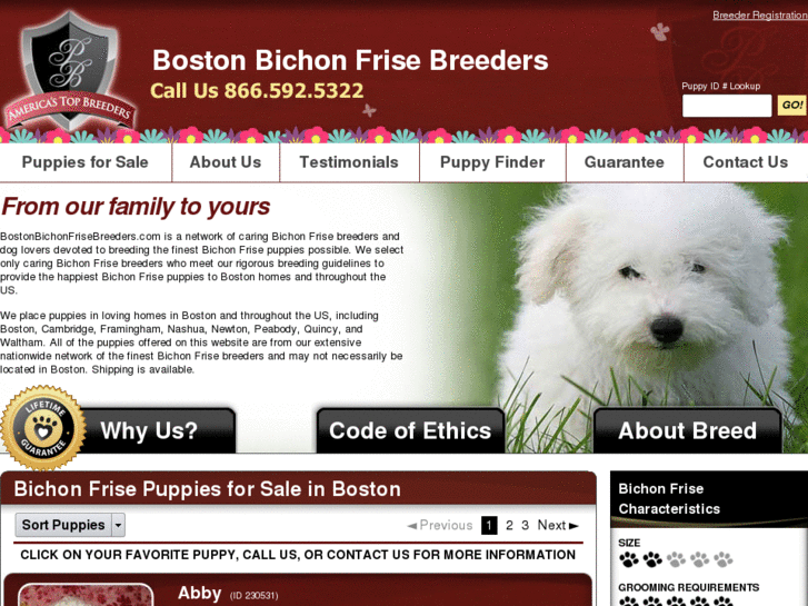 www.bostonbichonfrisebreeders.com