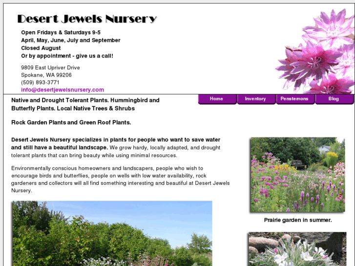 www.desertjewelsnursery.com