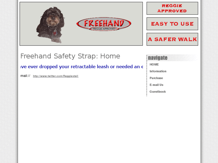 www.freehandsafetystrap.com