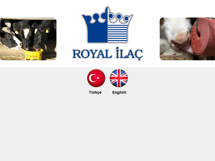 www.royalilac.com