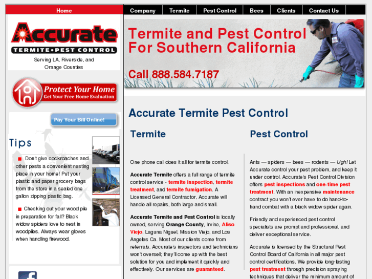 www.accuratetermitecontrol.com