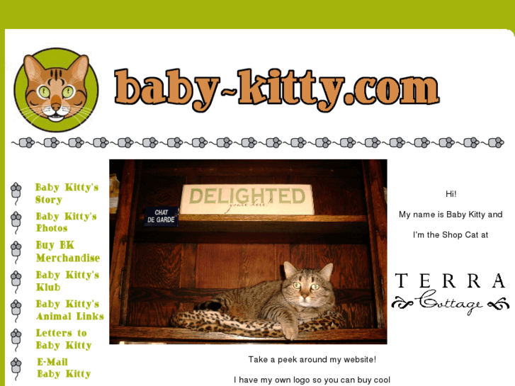 www.baby-kitty.com