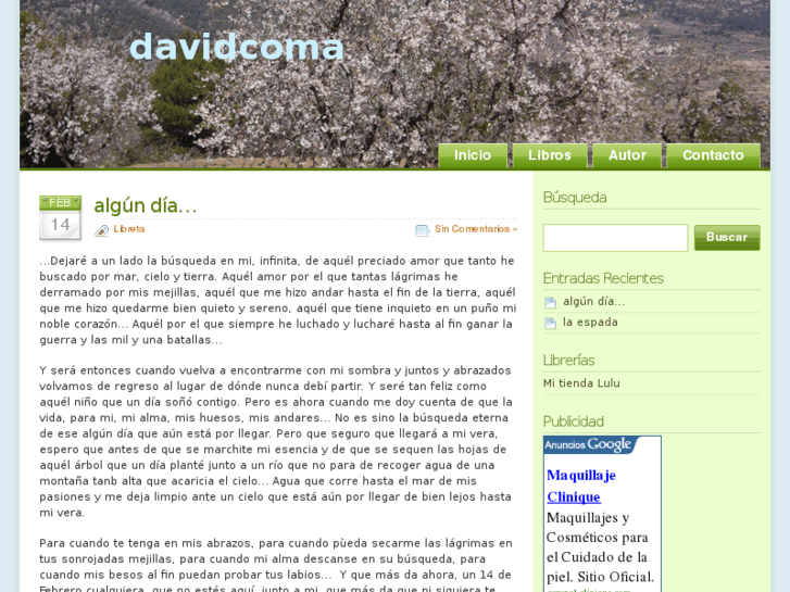 www.davidcoma.es