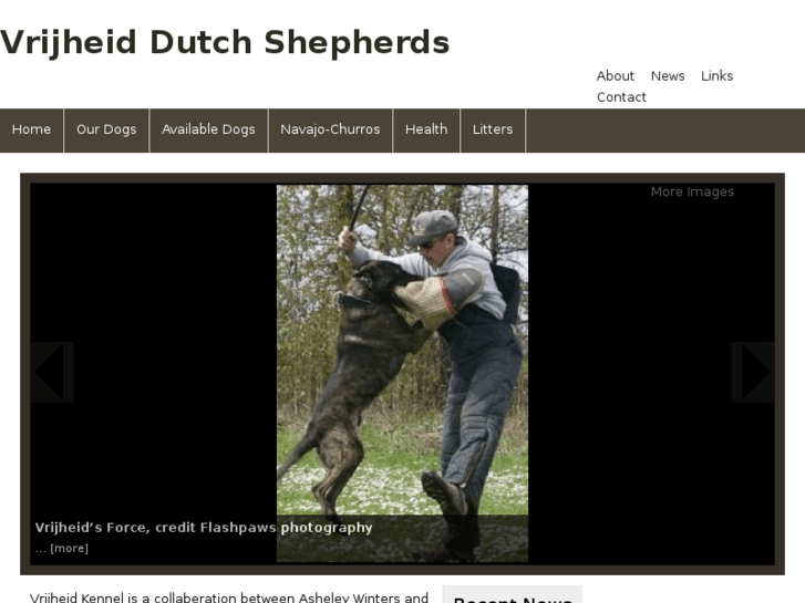 www.dutchshepherds.us