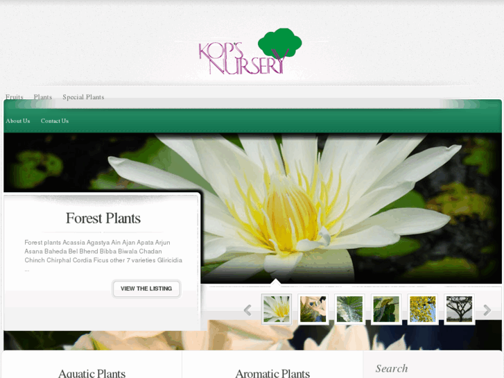 www.kopsnursery.com
