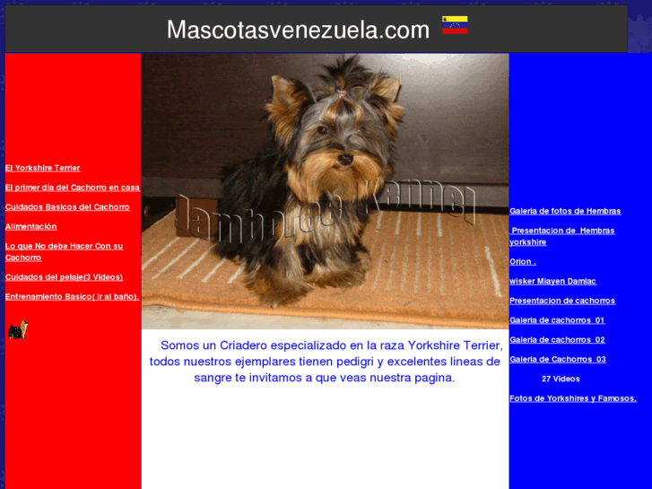 www.mascotasvenezuela.com