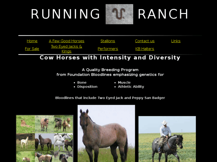 www.runningvranch.com