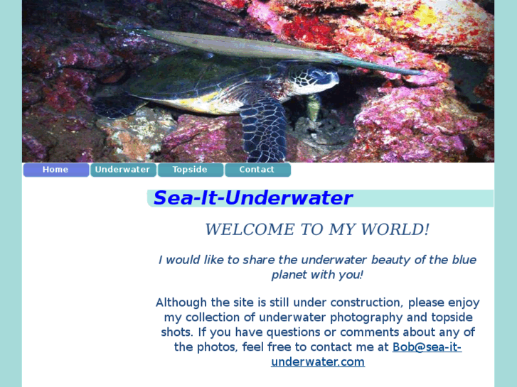 www.sea-it-underwater.com