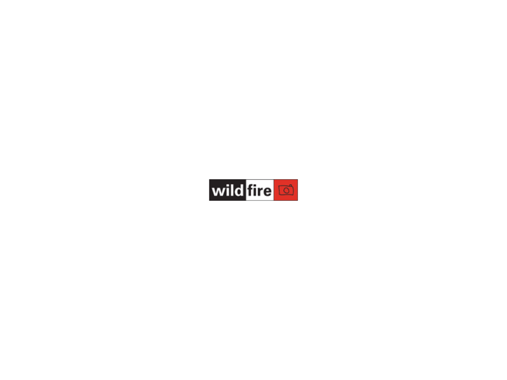 www.wildfirestudio.org
