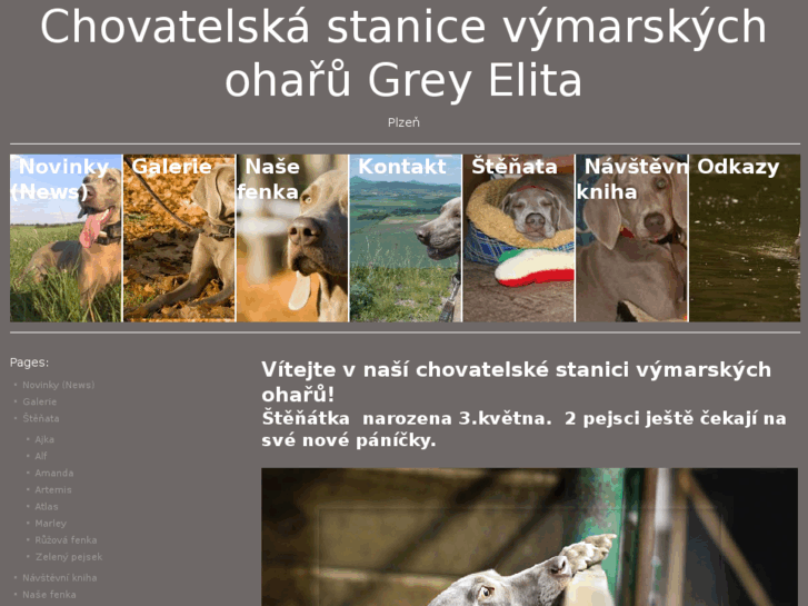 www.grey-elita.com