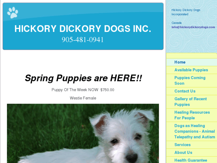 www.hickorydickorydog.com