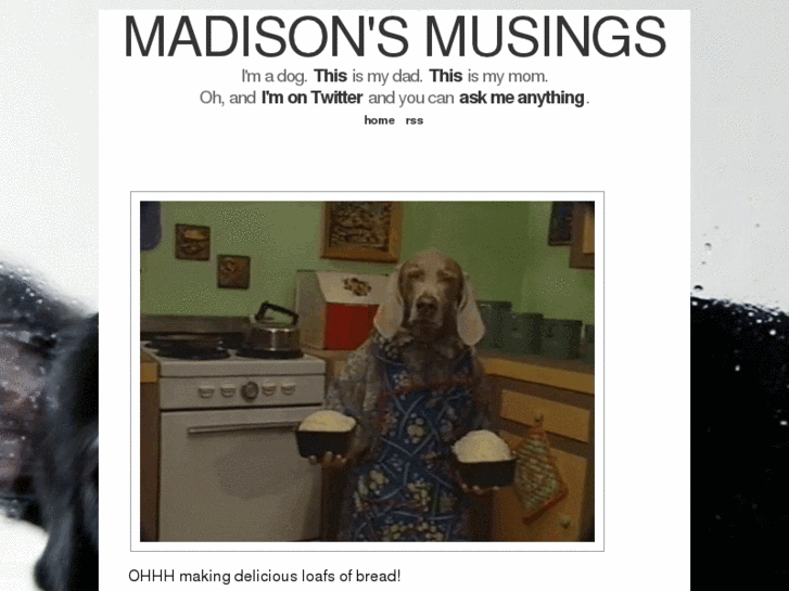 www.madisonmcnugget.com