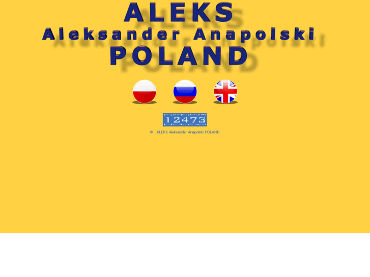 www.aleks-pl.com