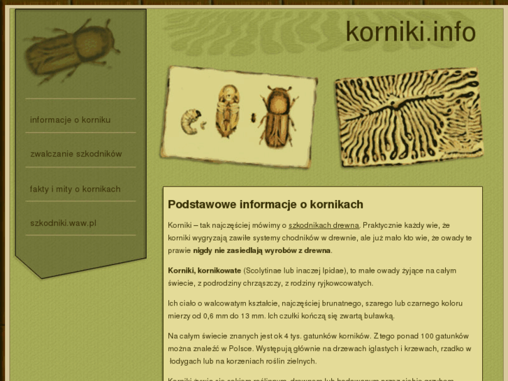 www.korniki.info