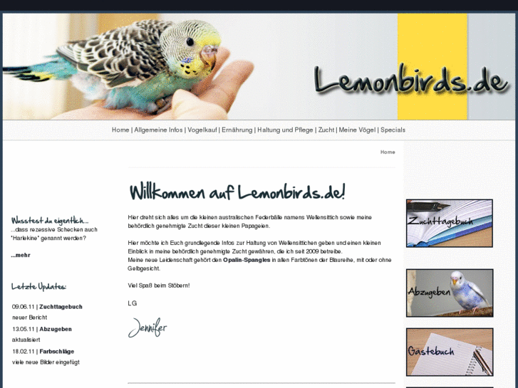 www.lemonbirds.de