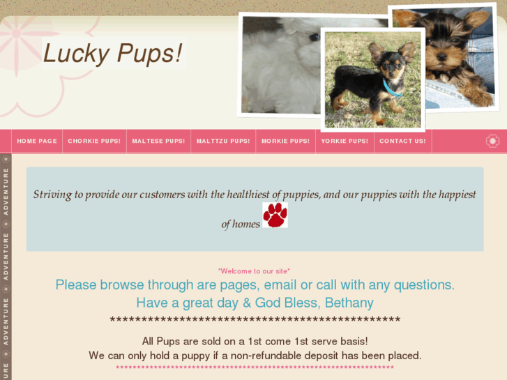 www.luckypup.org