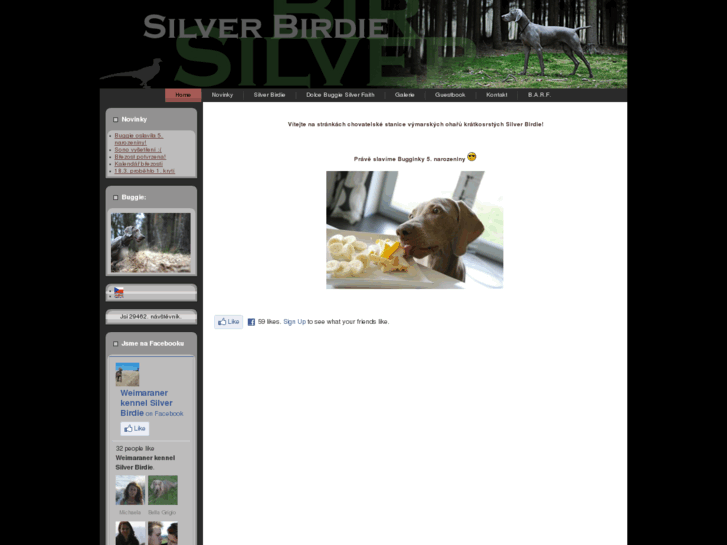 www.silverbirdie.com