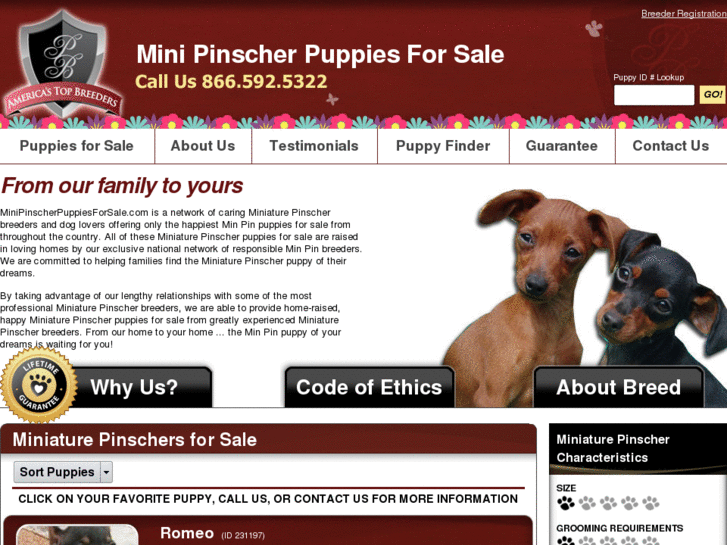 www.minipinscherpuppiesforsale.com