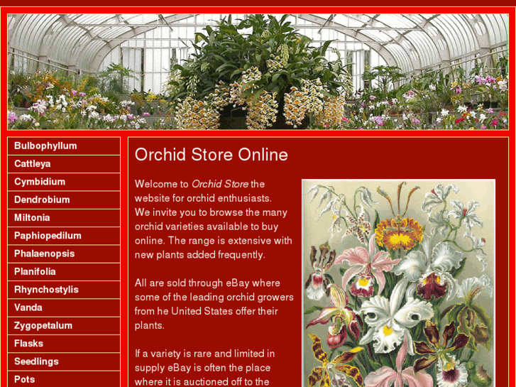 www.orchidstore.net