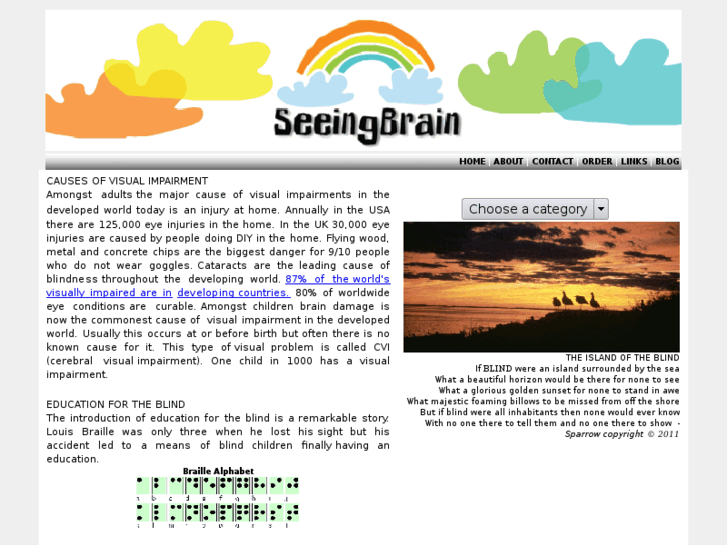 www.seeingbrain.com