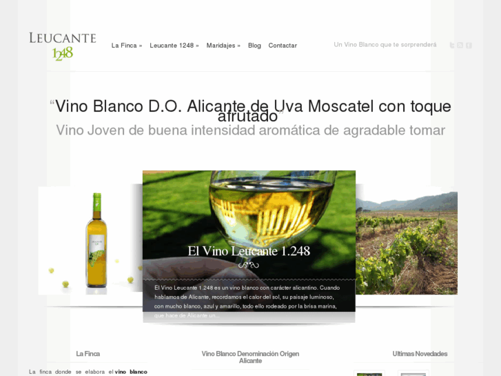 www.vinoblancoleucante.com