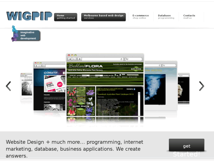 www.wigpip.com.au