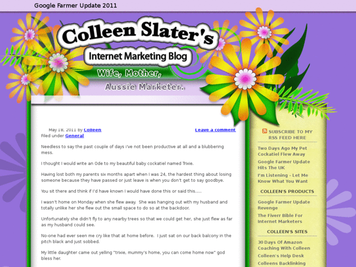 www.colleenslater.com