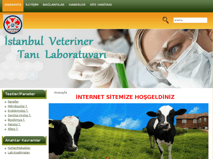 www.istanbulvetlab.com