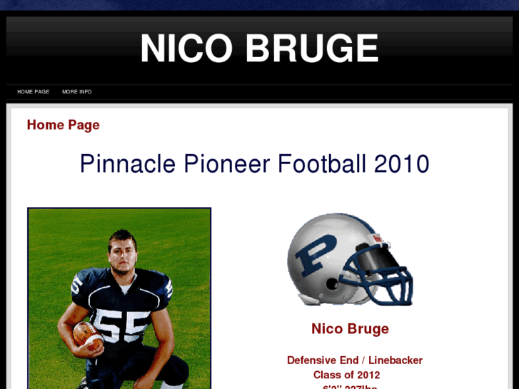 www.nicobruge.com