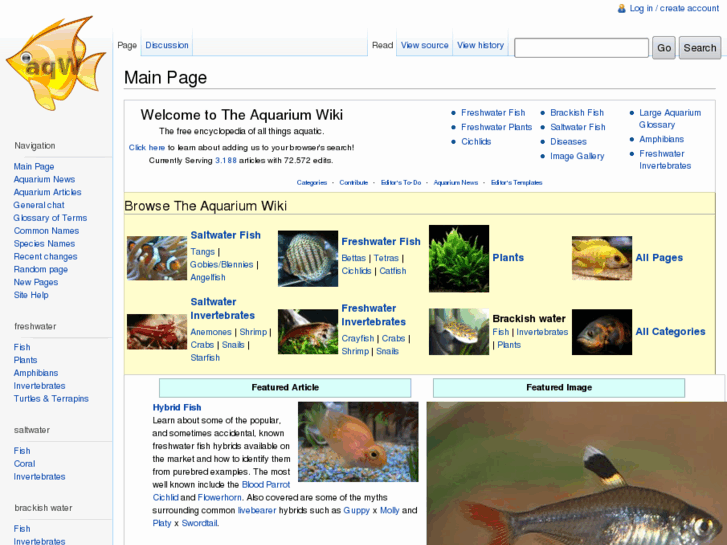 www.theaquariumwiki.com