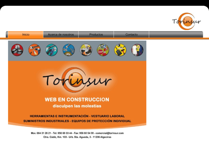 www.torinsur.com