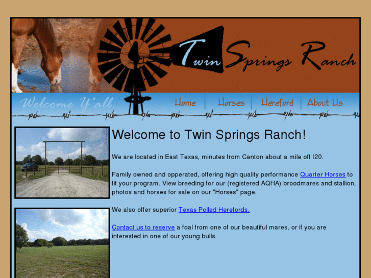 www.twinspringsranch.com