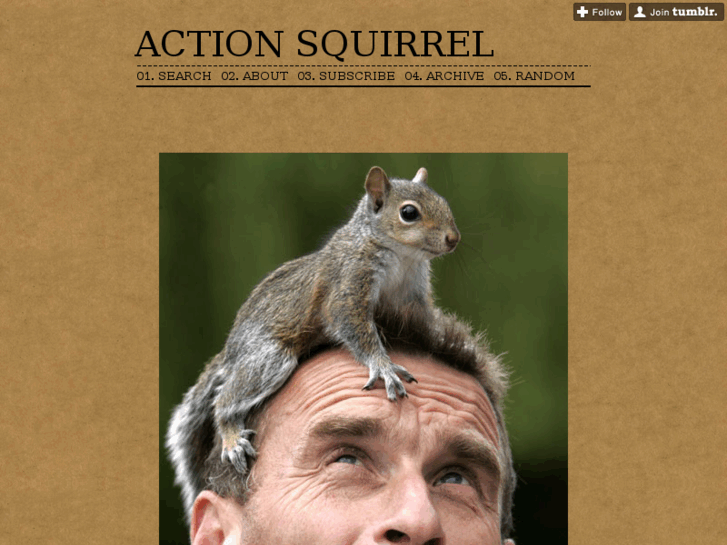 www.actionsquirrel.com