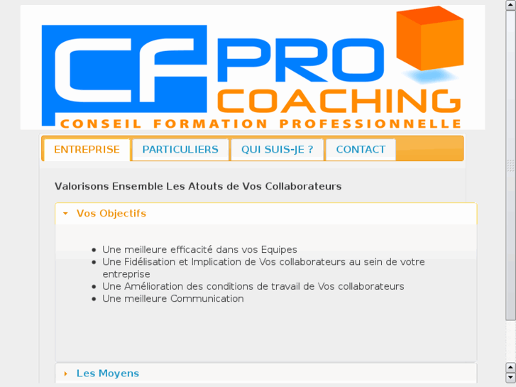 www.cfpro-coaching.com