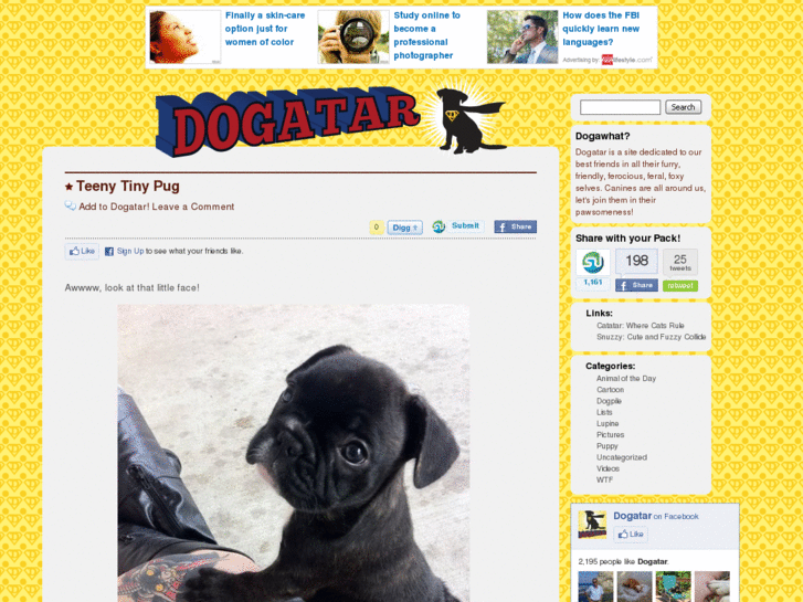 www.dogatar.com