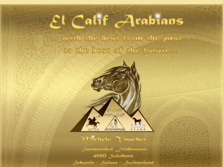 www.el-calif-arabians.com