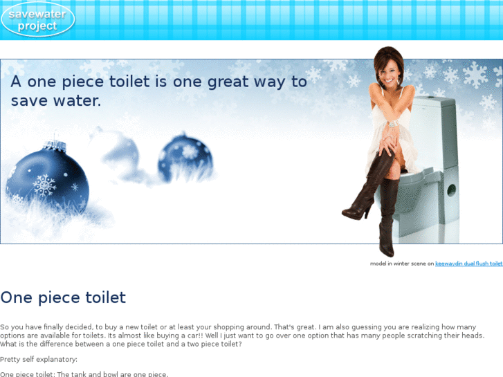 www.onepiecetoilet.net