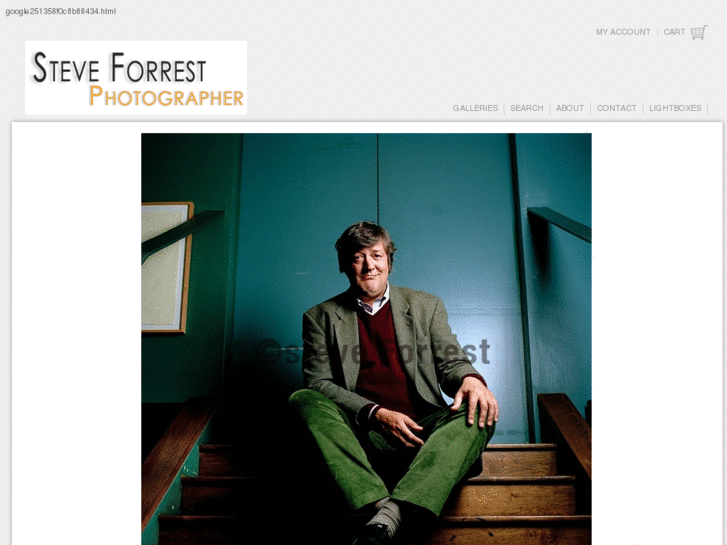 www.steve-forrest.com