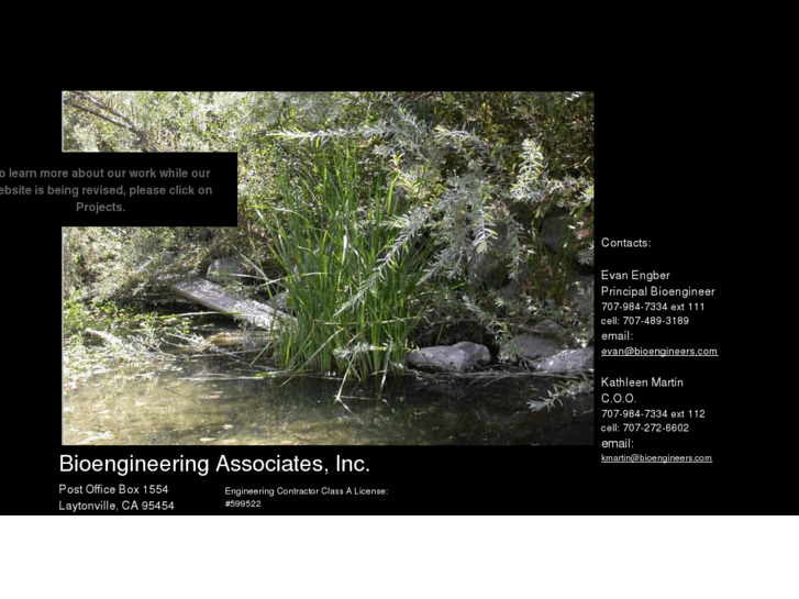 www.bioengineeringassociates.com