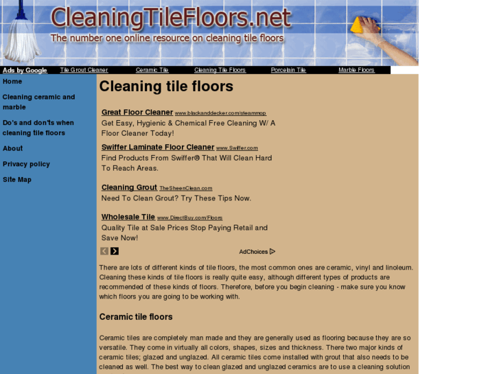 www.cleaningtilefloors.net