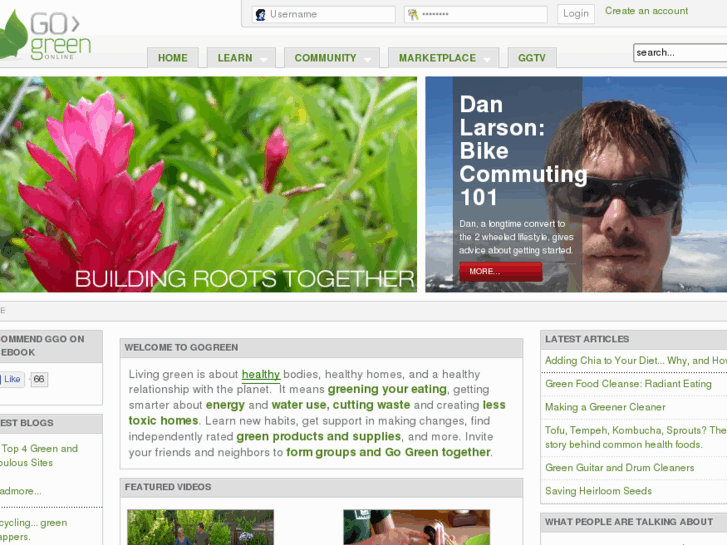 www.gogreenonline.com