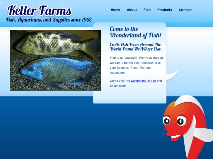 www.kellerfish.com