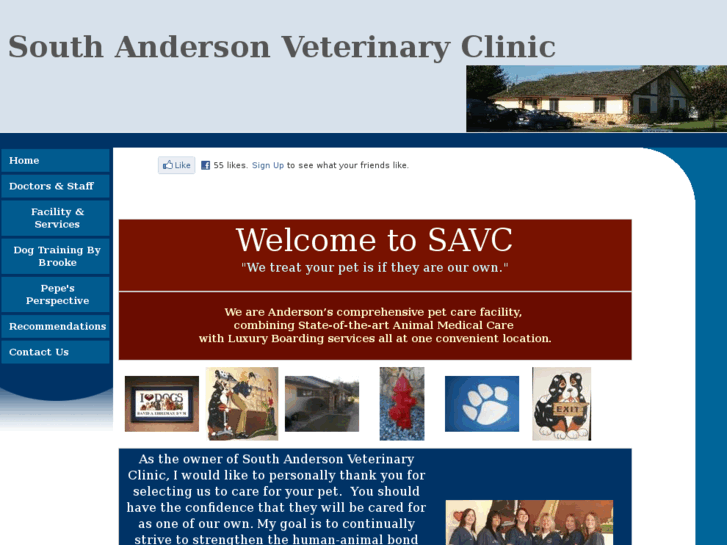 www.southandersonvet.com