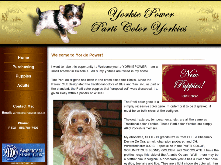 www.yorkiepower.com