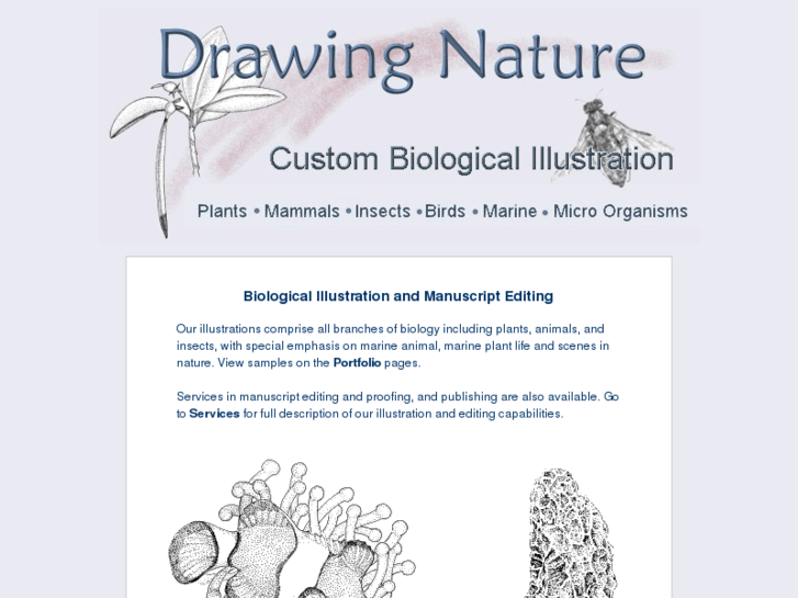 www.drawing-nature.com