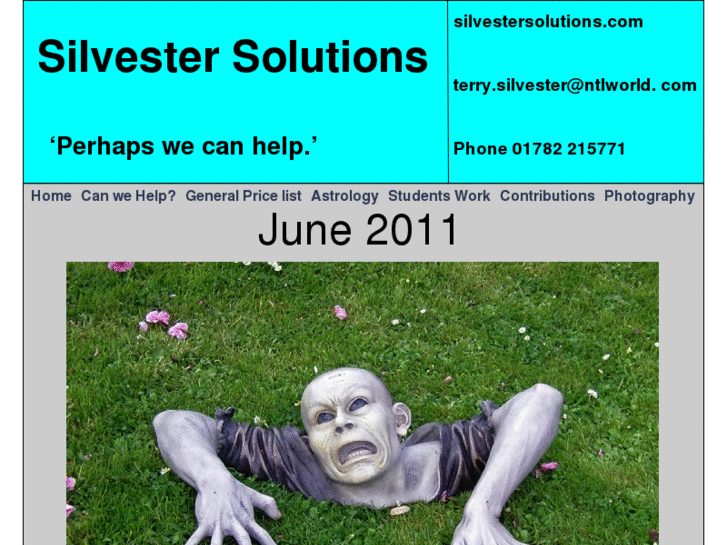 www.silvestersolutions.com