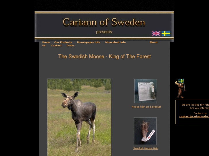 www.cariann-of-sweden.com